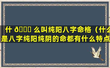 什 🐎 么叫纯阳八字命格（什么是八字纯阳纯阴的命都有什么特点）